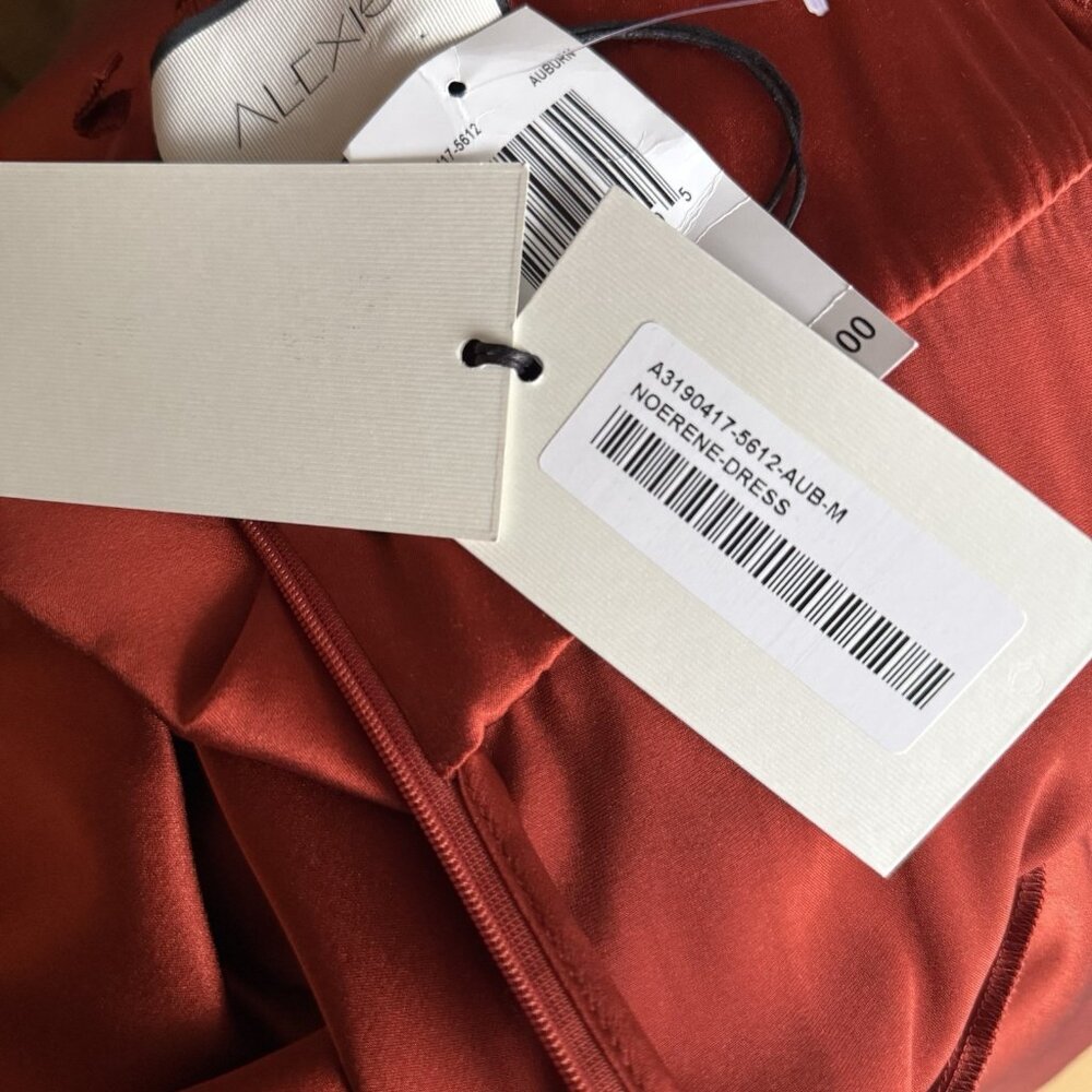 Alexis Noerene Ruched Stretch-Silk Maxi Dress Auburn Size M - Picture 10 of 12